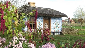 Wygląda jak z obrazka, a leży 80 km od Krakowa. To najbardziej instagramowa wieś w Małopolsce 