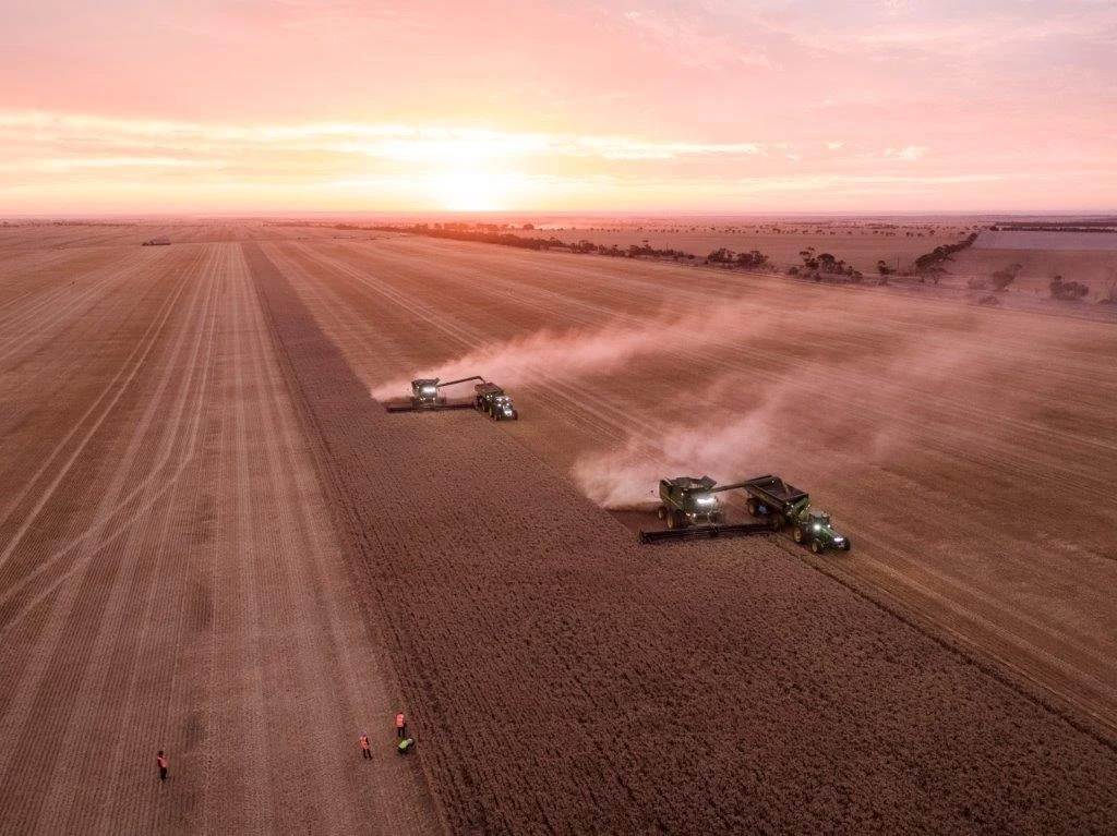 Materiały prasowe Vittera Polska