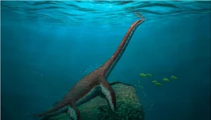 Istoty jak potwór z Loch Ness żyły w Europie. Odkryli je w Niemczech