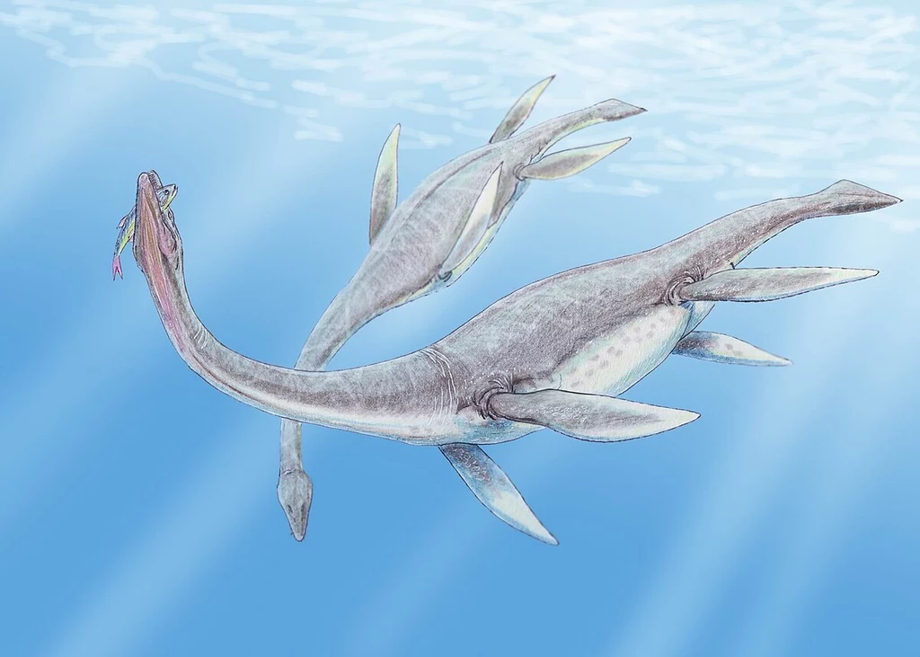 Plezjozaury to mezozoiczni władcy oceanów