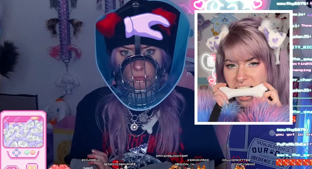 fragment transmisji @MEOWDALYN na Twitchu