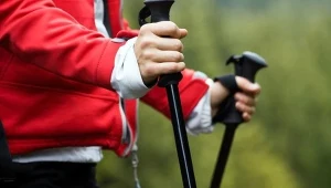 Codzienny spacer działa odchudzająco i chroni serce 