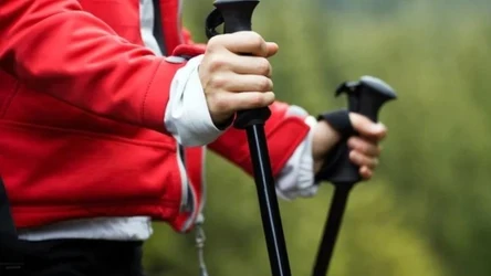 ​Tyle musisz spacerować, by spalić 1 pączka. Jak długa przechadzka cię dziś czeka?