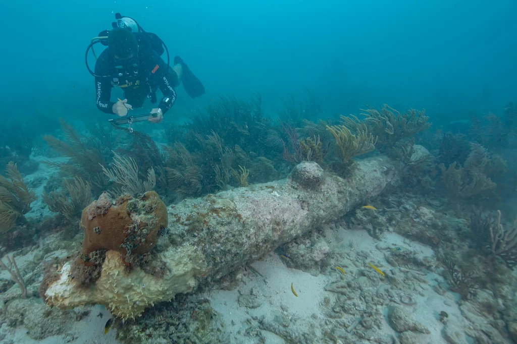 Nurek NPS dokumentujący jedną z pięciu armat znalezionych podczas niedawnych badań w Parku Narodowym Dry Tortugas