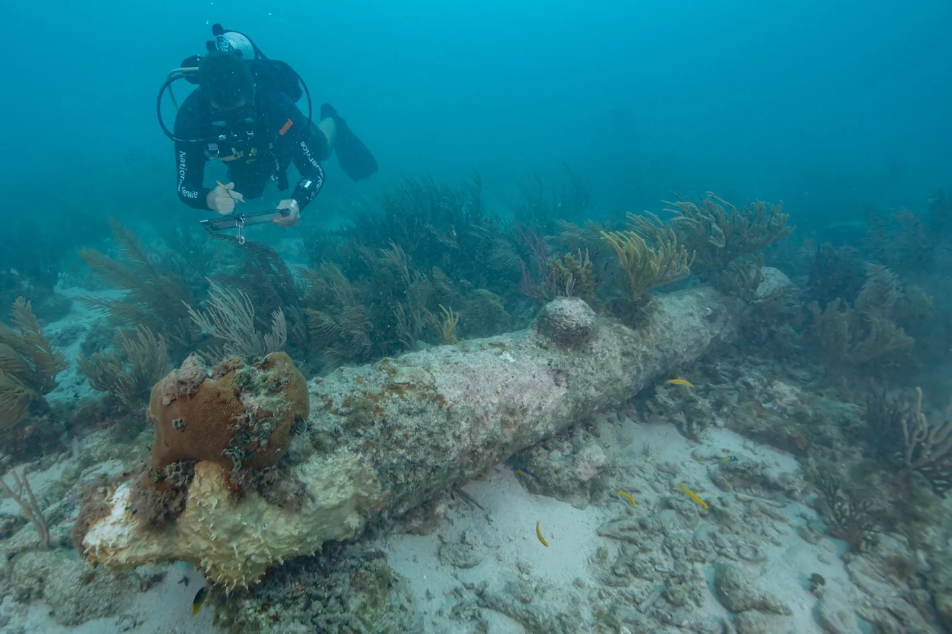 Nurek NPS dokumentujący jedną z pięciu armat znalezionych podczas niedawnych badań w Parku Narodowym Dry Tortugas Nurek NPS dokumentujący jedną z pięciu armat znalezionych podczas niedawnych badań w Parku Narodowym Dry Tortugas