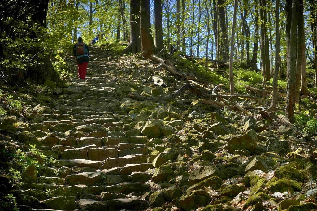 Trasa na Ostrzycę prowadzi w górę kamiennymi schodami 