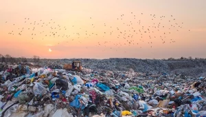 Światowy Dzień Recyklingu, czyli o współczesnym wyzwaniu, z którym mierzymy się od tysiącleci