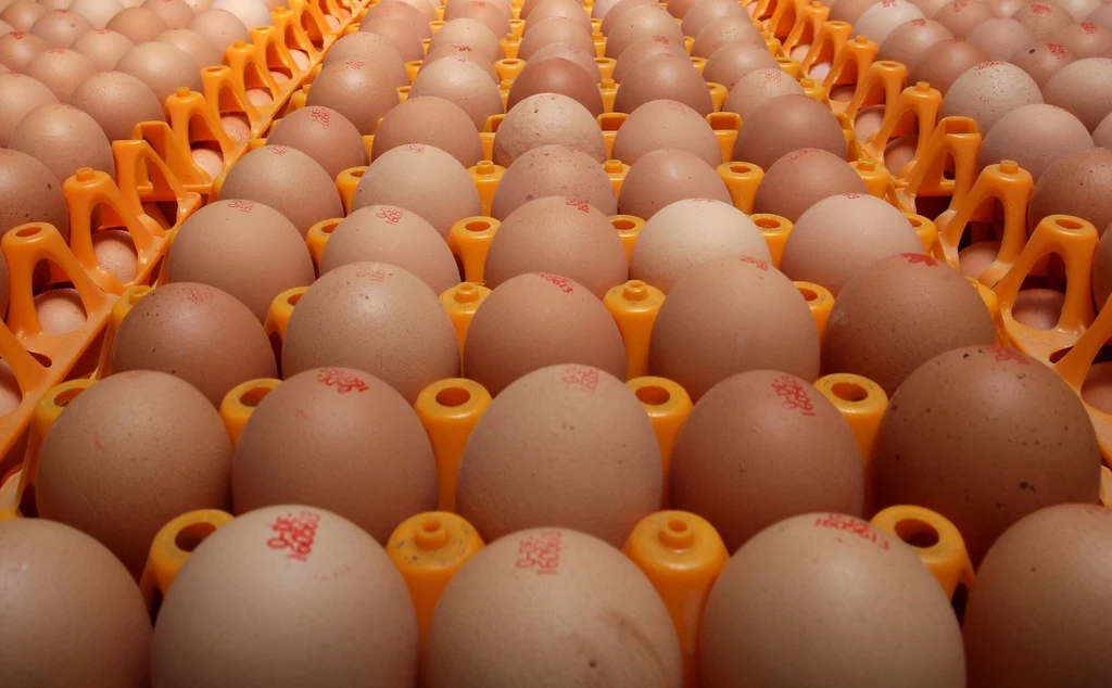 Prawie ⅓ jaj pakowanych w Polsce nie pochodzi od kur w klatkach