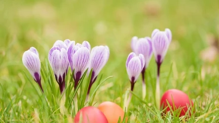 IMGW opublikował prognozę pogody na Wielkanoc. Niewykluczone, że pojawi się ocieplenie, z temperaturami sięgającymi 20-21 stopni Celsjusza