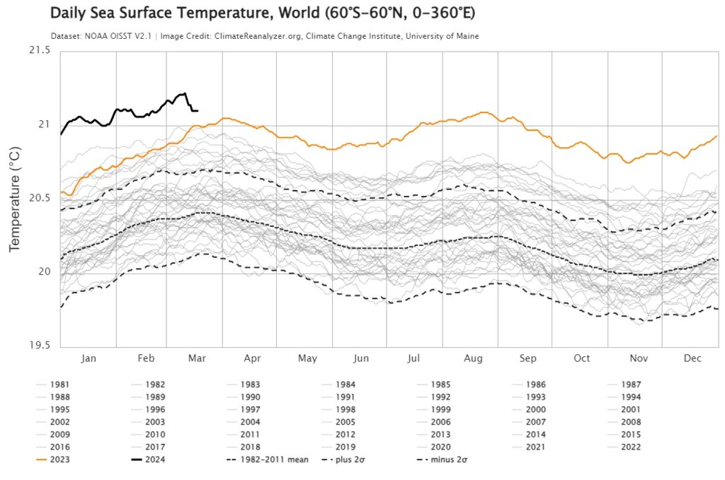 Dzienne wartości temperatury powierzchni oceanów (w pomiędzy zwrotnikami 60S i 60N) w latach 1981-2024.