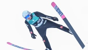 Johann Andre Forfang