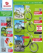 Selgros Cash&Carry - katalog wiosenne projekty