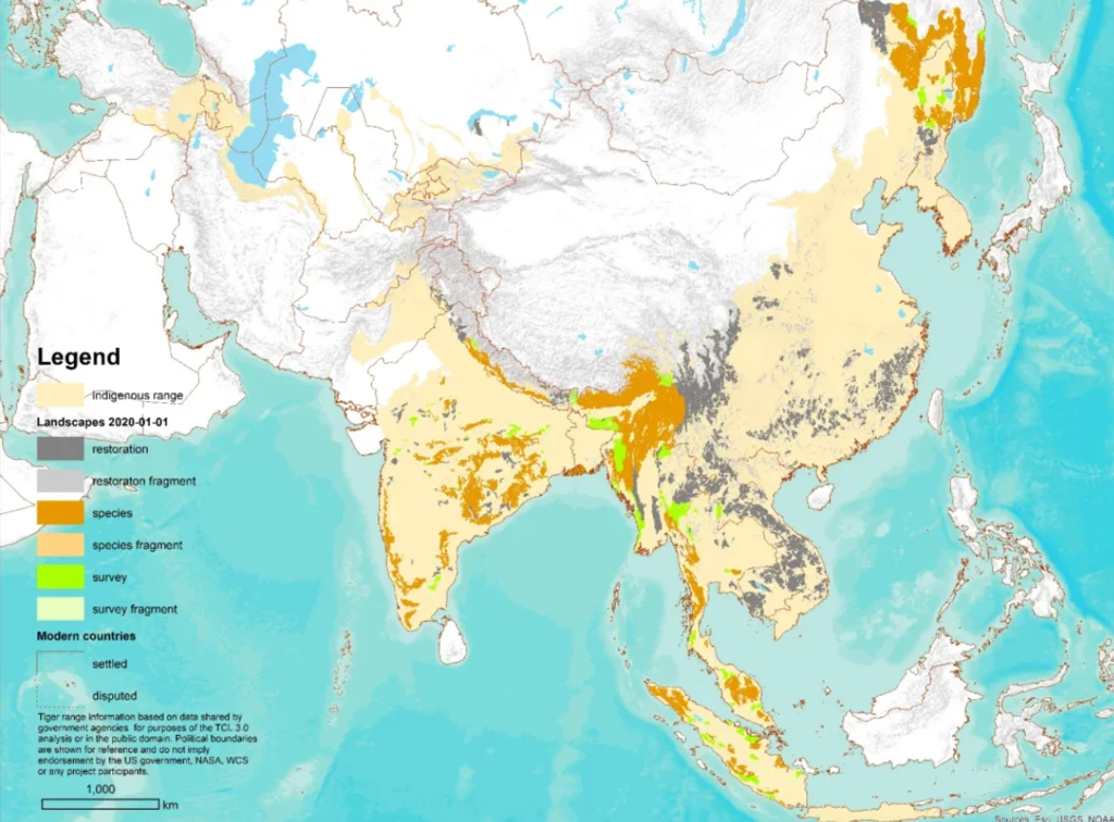 Mapa zamieszczona we Frontiers, pokazująca występowanie tygrysów w Azji. Beżowy kolor to historyczny zasięg