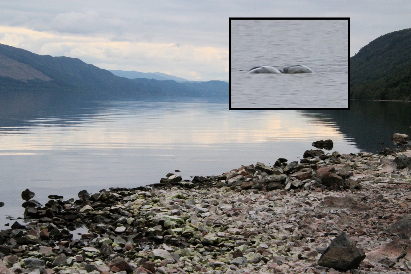 Potwór z Loch Ness rzeczywiście istnieje? Potwór z Loch Ness rzeczywiście istnieje?