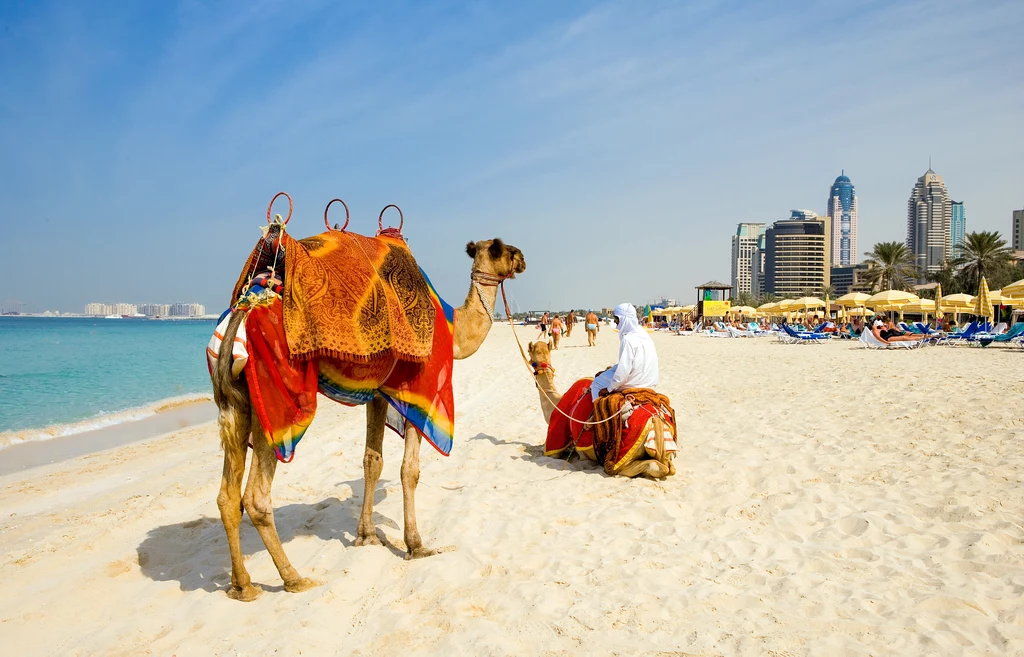 W ostatnim czasie Dubaj stał się jednym z najchętniej wybieranych kierunków turystycznych na całym świecie