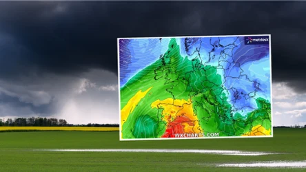 Pierwszy dzień wiosny najcieplejszy będzie na zachodzie: do 15 stopni Celsjusza. Jednocześnie jednak w większości kraju będzie pochmurnie i deszczowo
