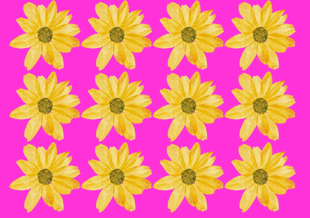 Test na spostrzegawczość. Kwiat Test na spostrzegawczość. Kwiat