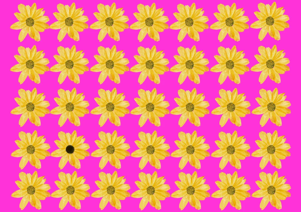 Test na spostrzegawczość. Kwiat Test na spostrzegawczość. Kwiat