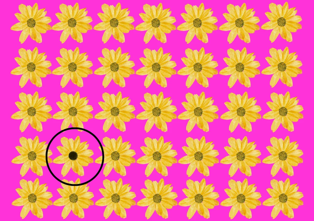 Test na spostrzegawczość. Kwiat. Rozwiązanie zagadki Test na spostrzegawczość. Kwiat. Rozwiązanie zagadki