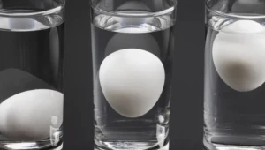 Chcesz sprawdzić, czy jajka są świeże? Wypróbuj niezawodny sposób mojej znajomej