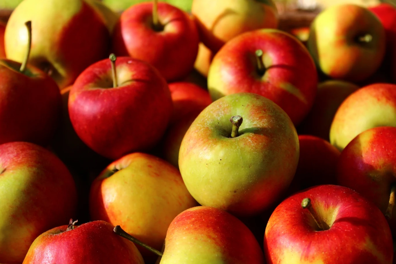 Jabłka zawierają flawonoidy, które mają działanie przeciwzapalne i mogą pomóc w ochronie płuc przed uszkodzeniem