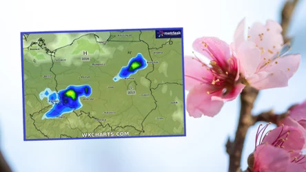 Wielkanoc 2024 będzie ciepła, z możliwymi temperaturami sięgającymi nawet 24 stopni Celsjusza - wynika z prognoz długoterminowych IMGW