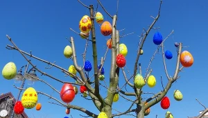 Prosta i efektowna dekoracja świąteczna. Wystarczy ci kilka gałązek