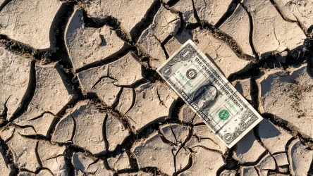 Połączono zmiany klimatyczne z coraz wyższymi cenami żywności. Przyszłość będzie coraz droższa