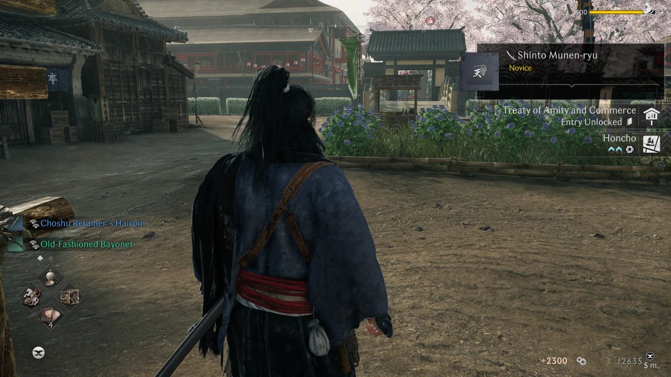Rise of the Ronin