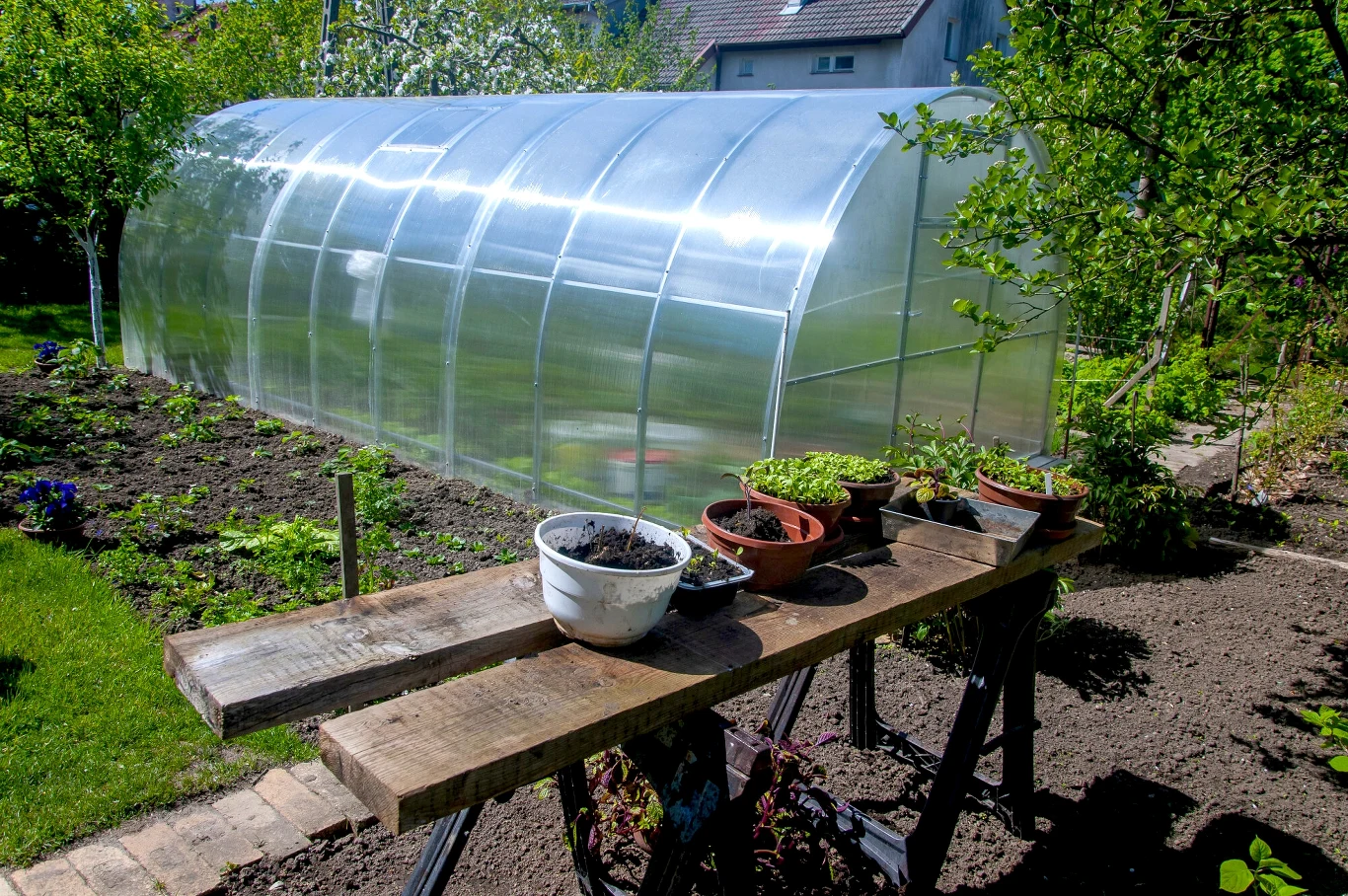 Przyszłość działek ROD stała pod znakiem zapytania Przyszłość działek ROD stała pod znakiem zapytania