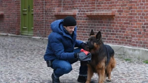 Życie komisarza Sochonia (Jacek Knap) zawiśnie na włosku