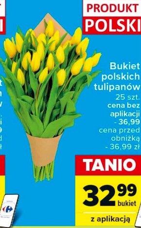 Bukiet tulipanów Polski niska cena