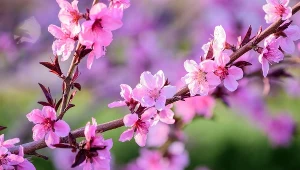 Zmiana idealnie na Wielkanoc. Temperatury robią wrażenie