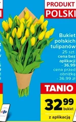 Bukiet tulipanów Polski
