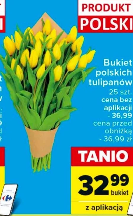 Bukiet tulipanów Polski
