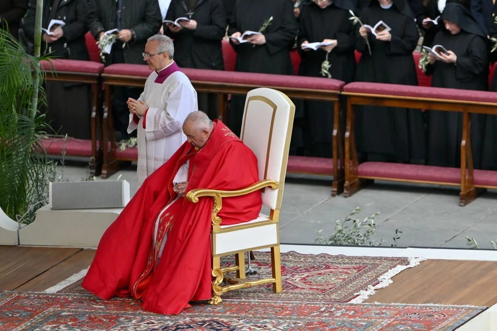 Papież Franciszek Papież Franciszek