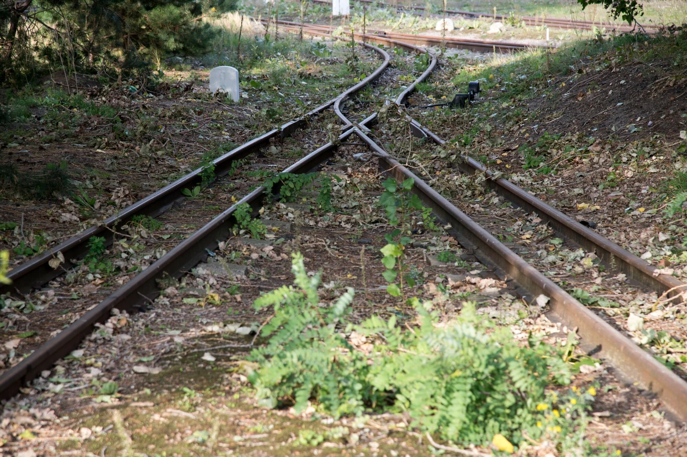 Kolejka waskotorowa na Helu Kolejka waskotorowa na Helu
