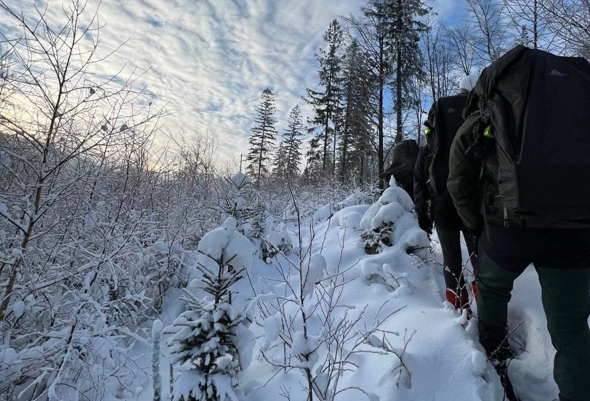 Zdjęcie ilustracyjne/Podczas szkolenia w górach zginął żołnierz Zdjęcie ilustracyjne/Podczas szkolenia w górach zginął żołnierz