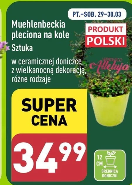 Dekoracja wielkanocna Polski