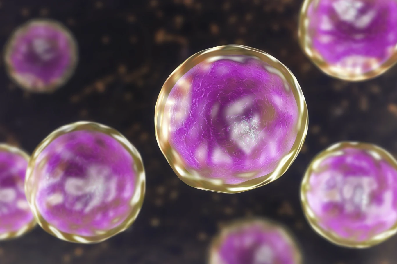 Badania wykazały, że ludzie przekazują zwierzętom więcej wirusów niż one nam Badania wykazały, że ludzie przekazują zwierzętom więcej wirusów niż one nam