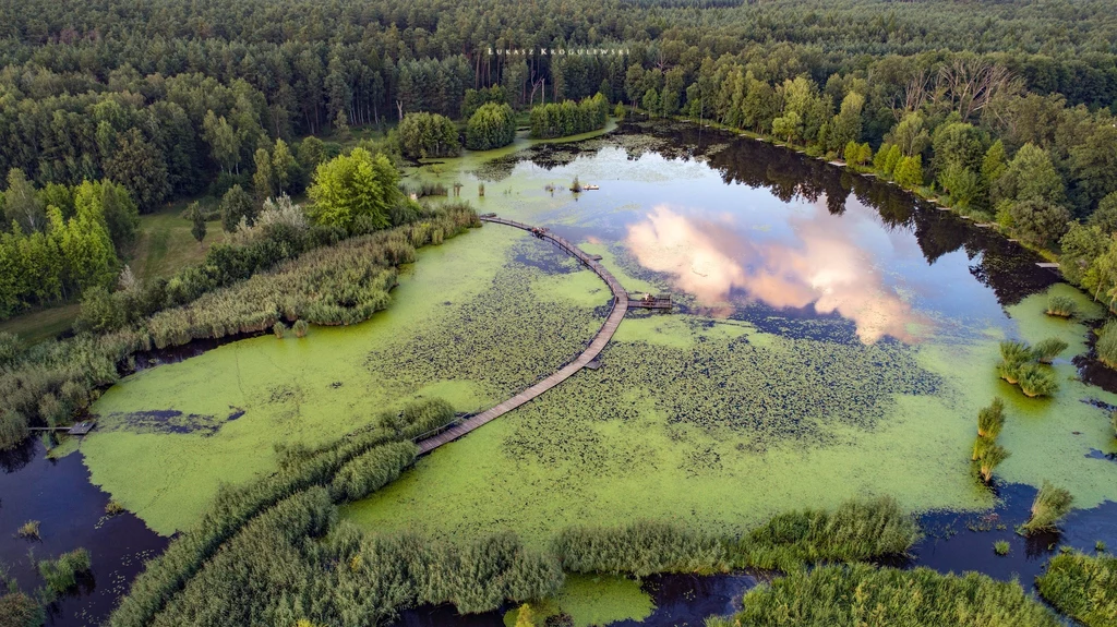 Arboretum Leśne im. Prof. S. Białoboka znajduje się w Stradomii Dolnej przy Nadleśnictwie Syców. Turystów zaprasza siedem dni w tygodniu. 