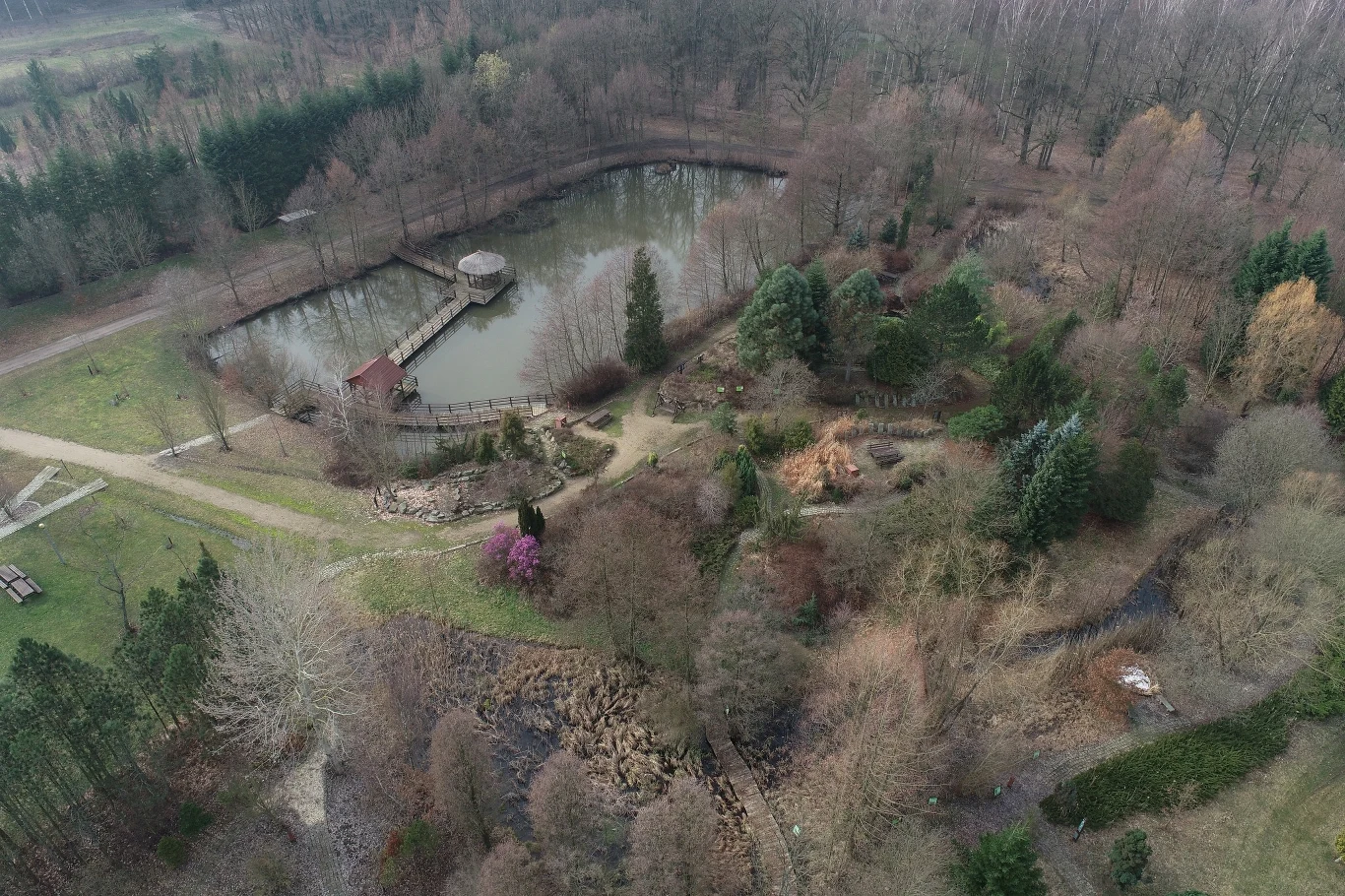 Arboretum to wyjątkowe miejsce na wycieczki z dala od miasta.