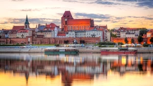 Wyjątkowe znaleziska w Toruniu. Ślady osady sprzed lokacji miasta