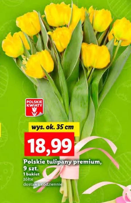 Bukiet tulipanów Polskie kwiaty