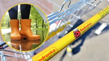 Modne kalosze w niskiej cenie w nowej ofercie Biedronki!