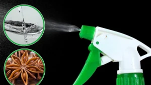 Ten domowy środek czystości pięknie pachnie, usuwa kurz i tłuste plamy. Zrobisz go błyskawicznie