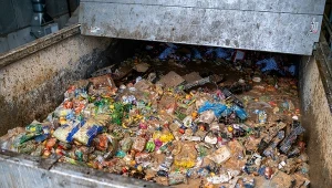 Mamy za dużo jedzenia. Zmarnowaliśmy miliardy porcji