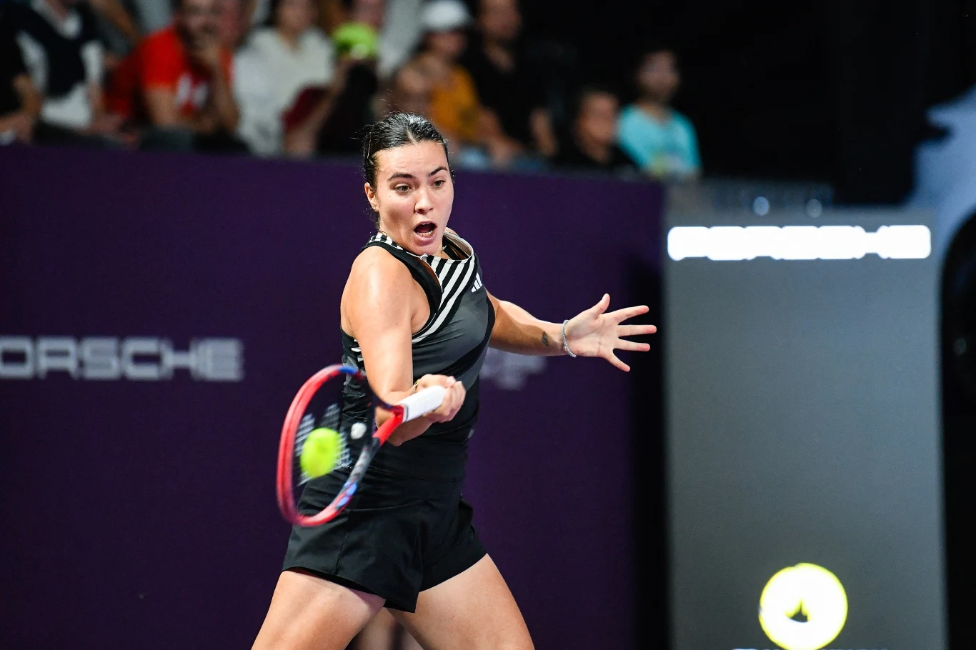 Elena-Gabriela Ruse Elena-Gabriela Ruse