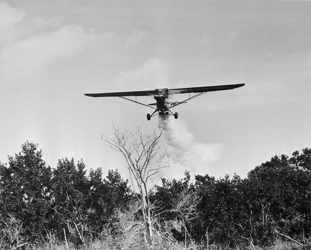 Samolot Piper Cub rozpyla DDT na terenie Stanów Zjednoczonych. Owady nie mają szans