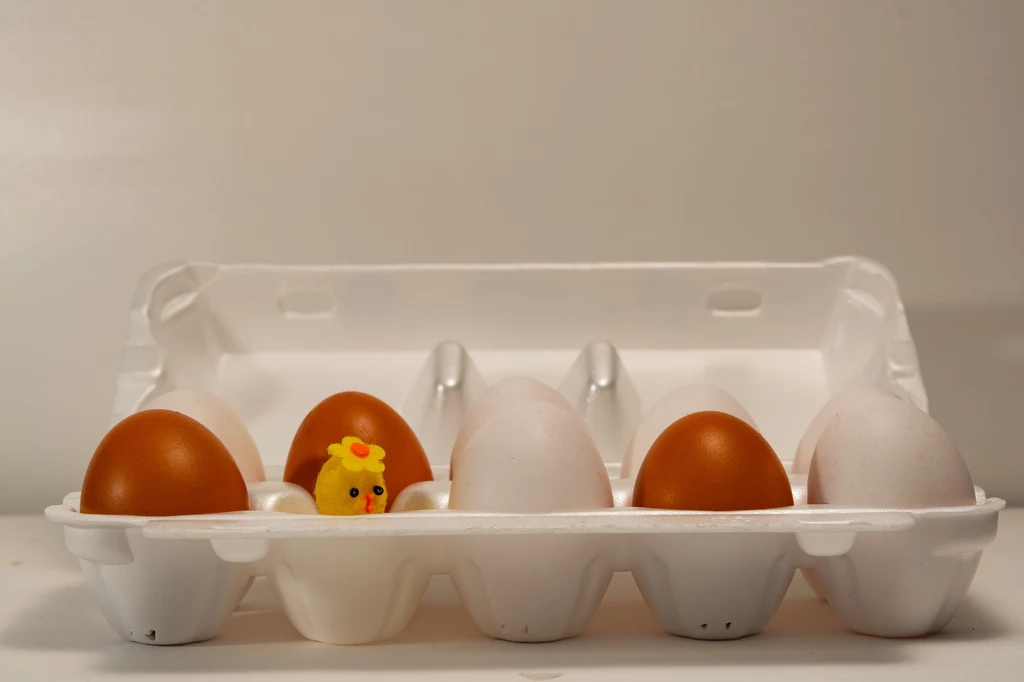 Gdzie w lodówce przechowywać jajka?